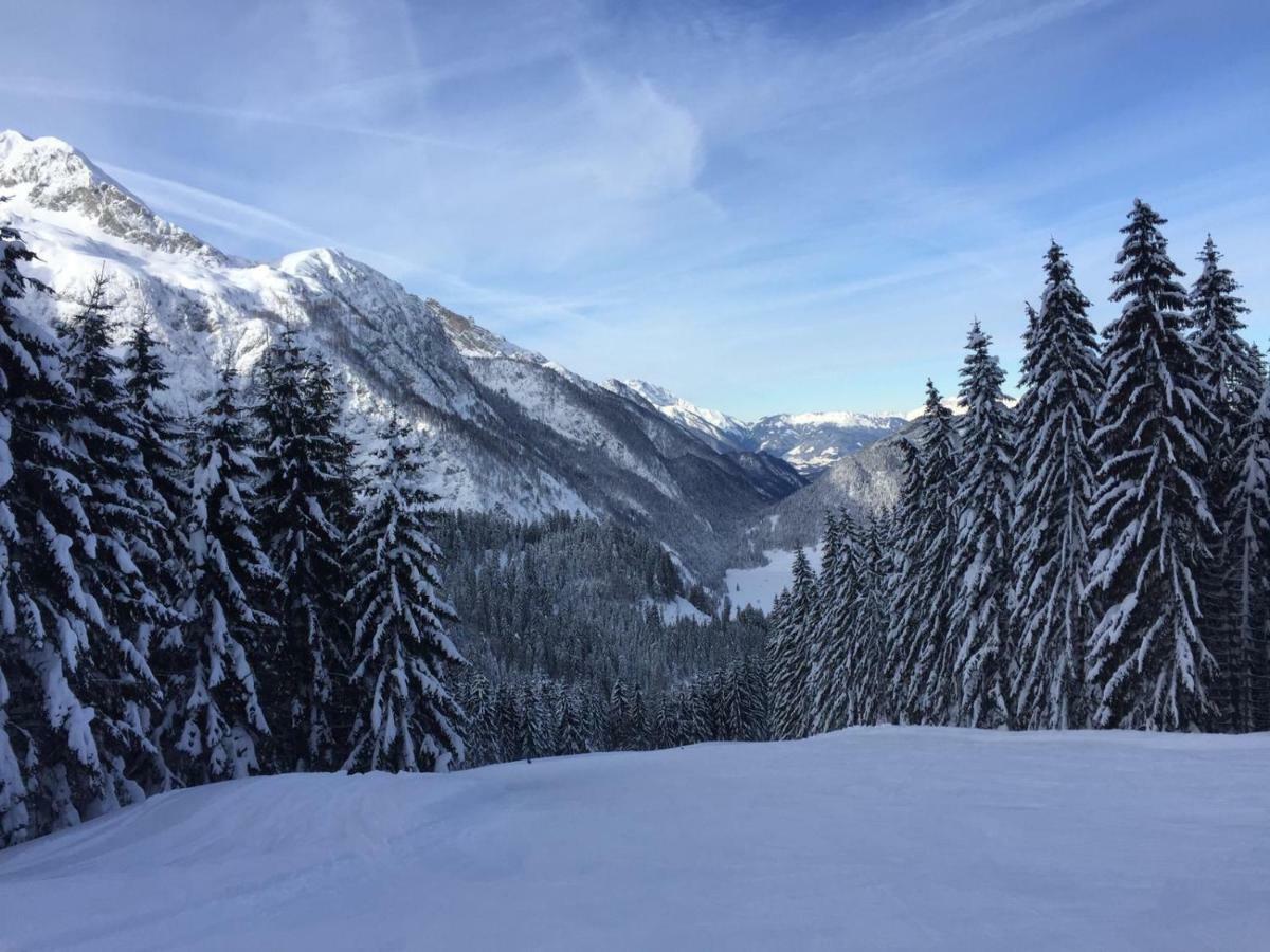 Haus Erlbacher Abtenau Exteriör bild